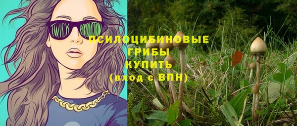 ГАЛЛЮЦИНОГЕННЫЕ ГРИБЫ Балабаново