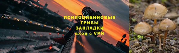 ГАЛЛЮЦИНОГЕННЫЕ ГРИБЫ Балабаново
