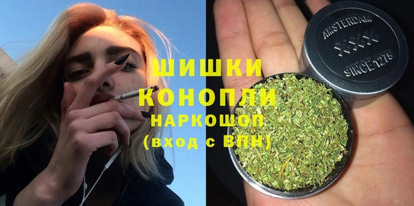 ГАЛЛЮЦИНОГЕННЫЕ ГРИБЫ Балабаново