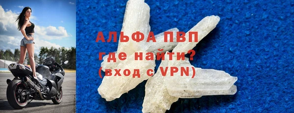 прущие грибы Дмитров