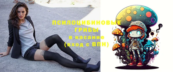 мяу мяу мука Баксан