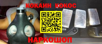 индика Камышлов