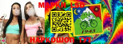 индика Камышлов