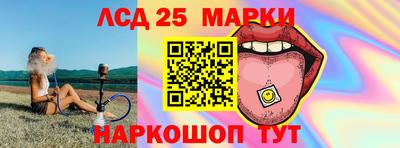 индика Камышлов