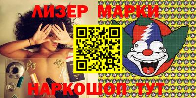 индика Камышлов