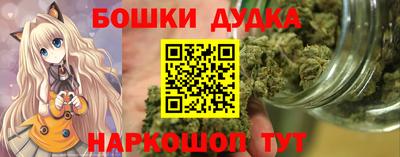 индика Камышлов