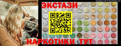 индика Камышлов