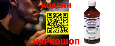 индика Камышлов