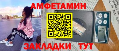 индика Камышлов