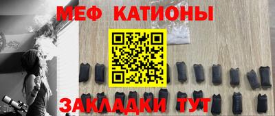 индика Камышлов