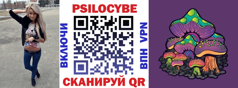 Галлюциногенные грибы Psilocybe  Усть-Джегута 