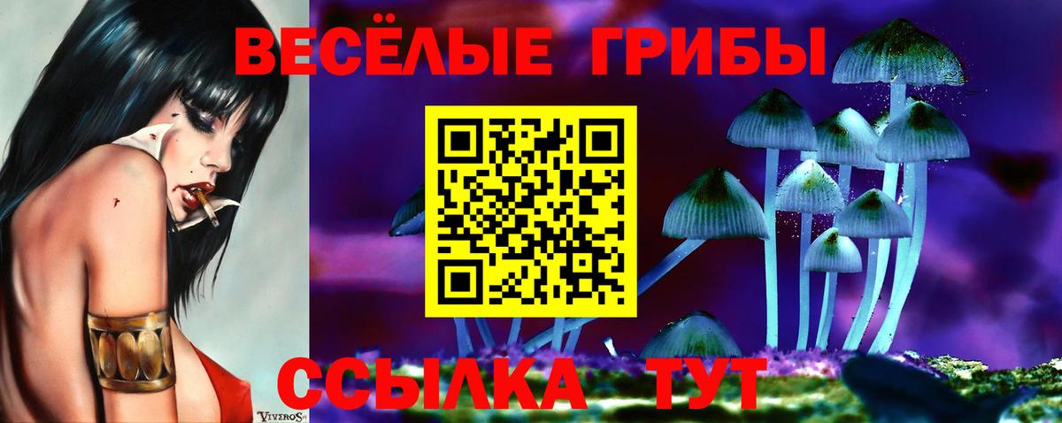 Галлюциногенные грибы MAGIC MUSHROOMS Усть-Джегута