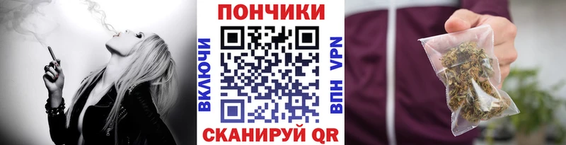Канабис конопля  МЕГА онион  Усть-Джегута  как найти  